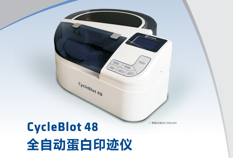 CycleBlot48全自動(dòng)蛋白印跡儀